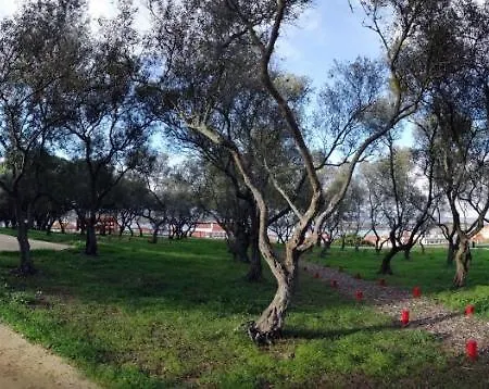 Quinta Da Estalagem 1 *